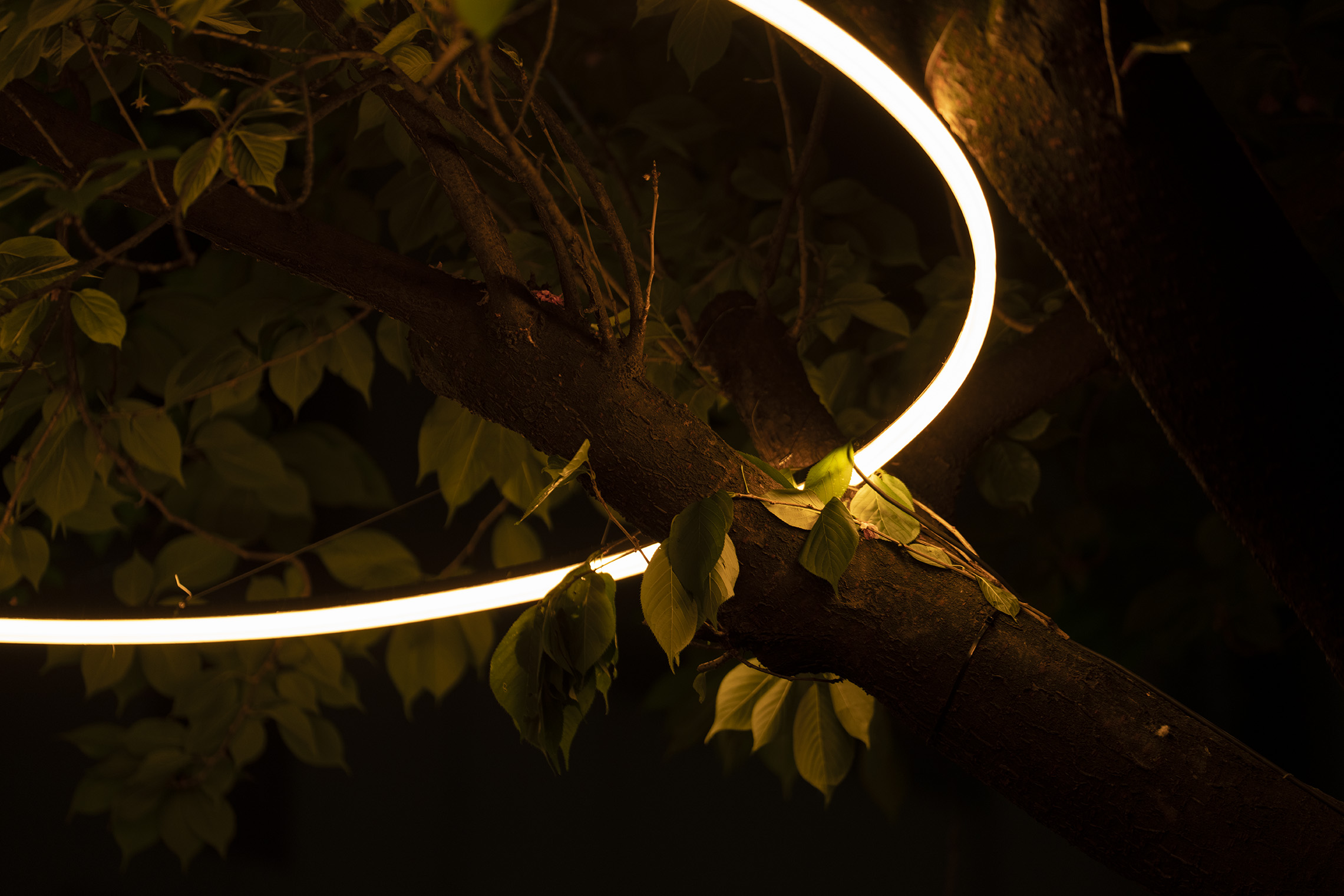 Infinitude – A circular lighting experience